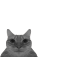 :minichatgris: