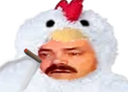 :Poulet_costume: