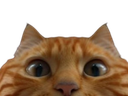 :tichat: