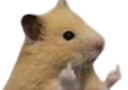 :Hamster_fuck_detoure: