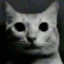 :chat_troma: