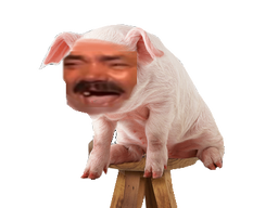 :Cochon_Risitas_: