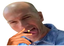 :zizou_fumette: