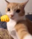 :chat_bagarre1:
