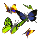 Identifiant