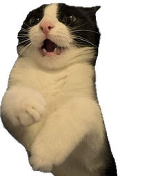 :chatanti: