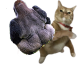 :Chadividu_:
