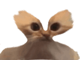 :chatmegachelou: