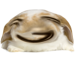 :Lapin_belier_difforme: