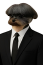 :ChienCostard: