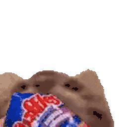 :Chat_nom: