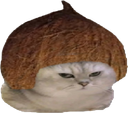 :chatbrushingcoco: