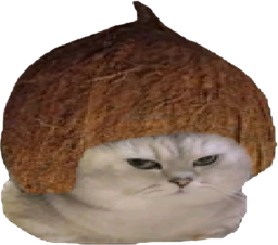 :chatbrushingcoco: