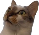 :chatkhey1: