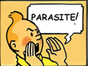 :tintinparasite: