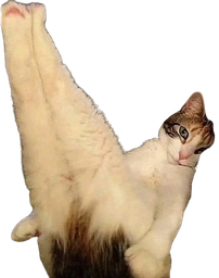 :Chat_montre_cul: