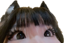 :Eyescat:
