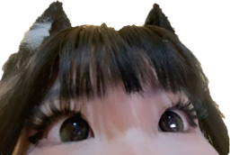 :Eyescat: