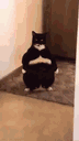:grochat: