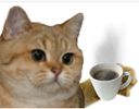 :sodium_poticafe: