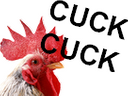 :cuck: