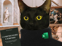:sisyphechat2: