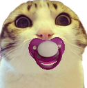 :chat_marrant_tetine: