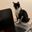 Photo de profil de ChatLubrique