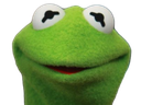 :kermit_portrait: