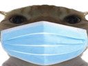 :chakmedecin: