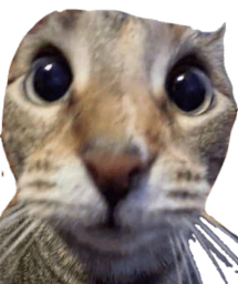 :Chatsurpri: