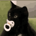 :ChatTetine: