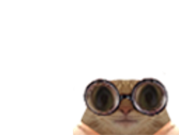 :chatlunettespetit: