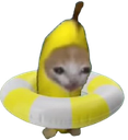 :ChananePlage:
