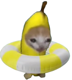 :ChananePlage: