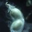 Photo de profil de GhostLegumineuz