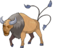 :Toros: