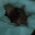 Photo de profil de SalePetiteP