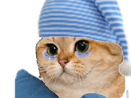 :chat_pleur_fatigue:
