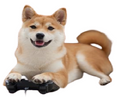 :shiba_: