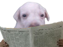 :purerjournal: