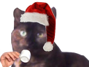 :the: