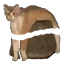 :ChatPierreBrise:
