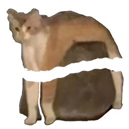 :ChatPierreBrise: