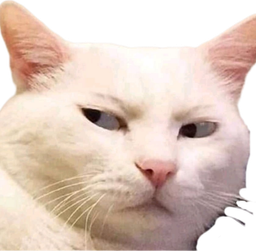 :Chat_quoi_: