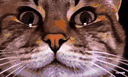 :ChatZoomTechno2: