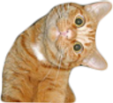 :chawat: