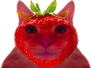 :ChatFraise: