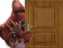 :ChatZoomPorte: