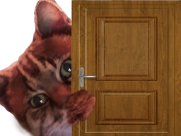 :ChatZoomPorte: